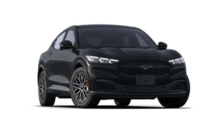 Mustang Mach-E® vehicle